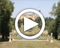 Image video