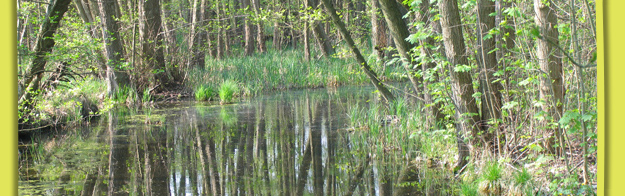 http://www.buga-2009.de/media/Slideshows/naturgarten-3.jpg